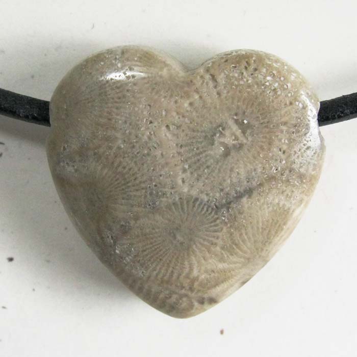 Petoskey Stone Heart Pendant - Side-drilled