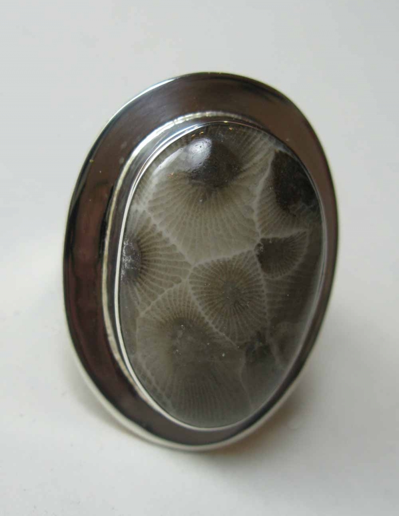 Petoskey Stone Ring in Sterling Frame