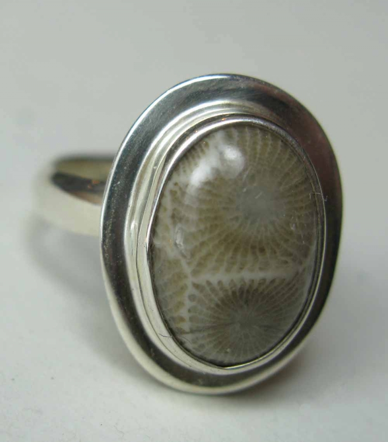 Small Oval Petoskey Stone Ring in Frame